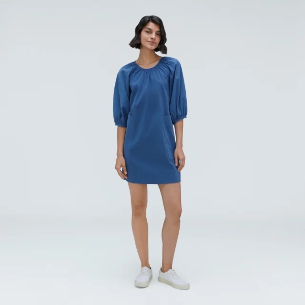 Everlane - The Seersucker Puff Sleeve Dress